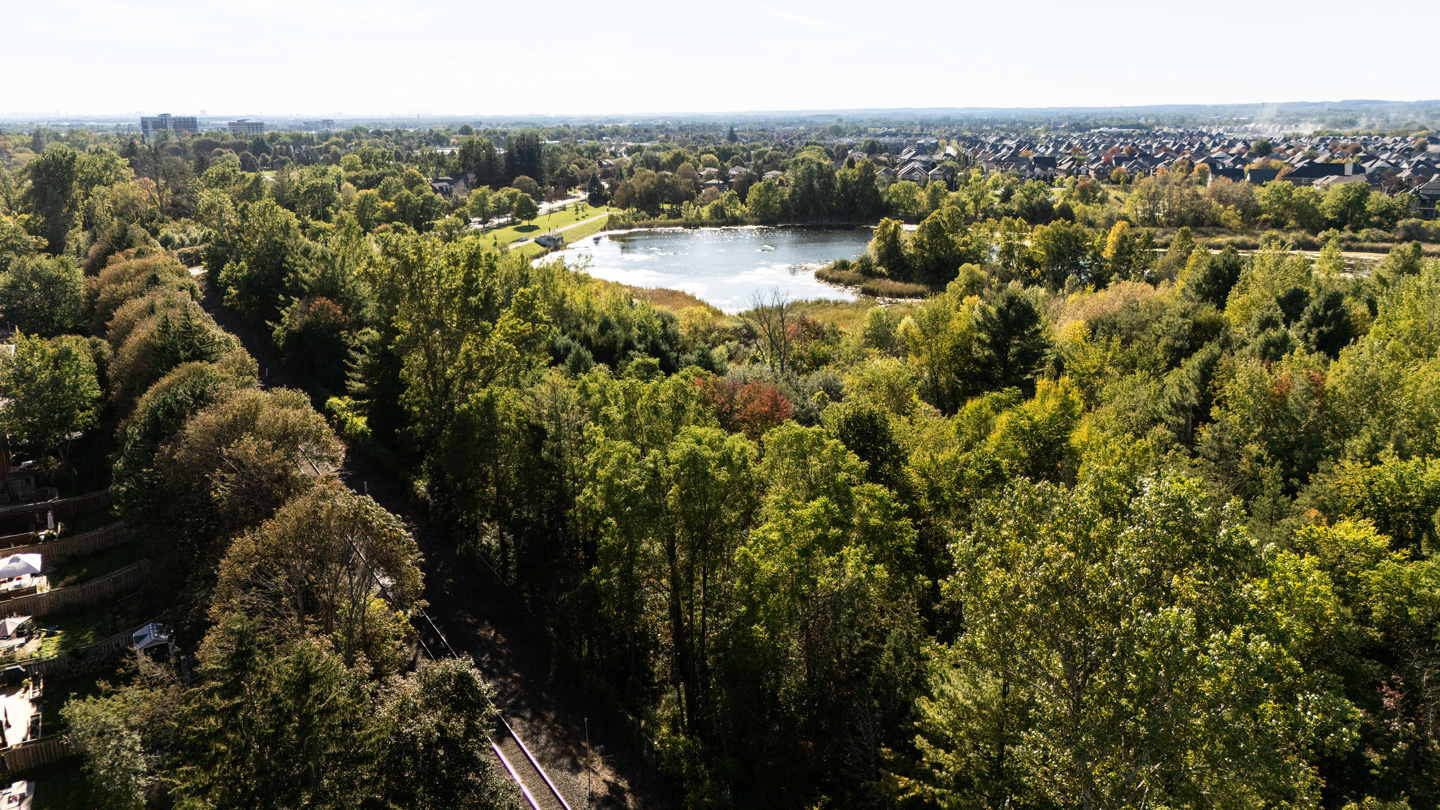Treetops and a pond from above